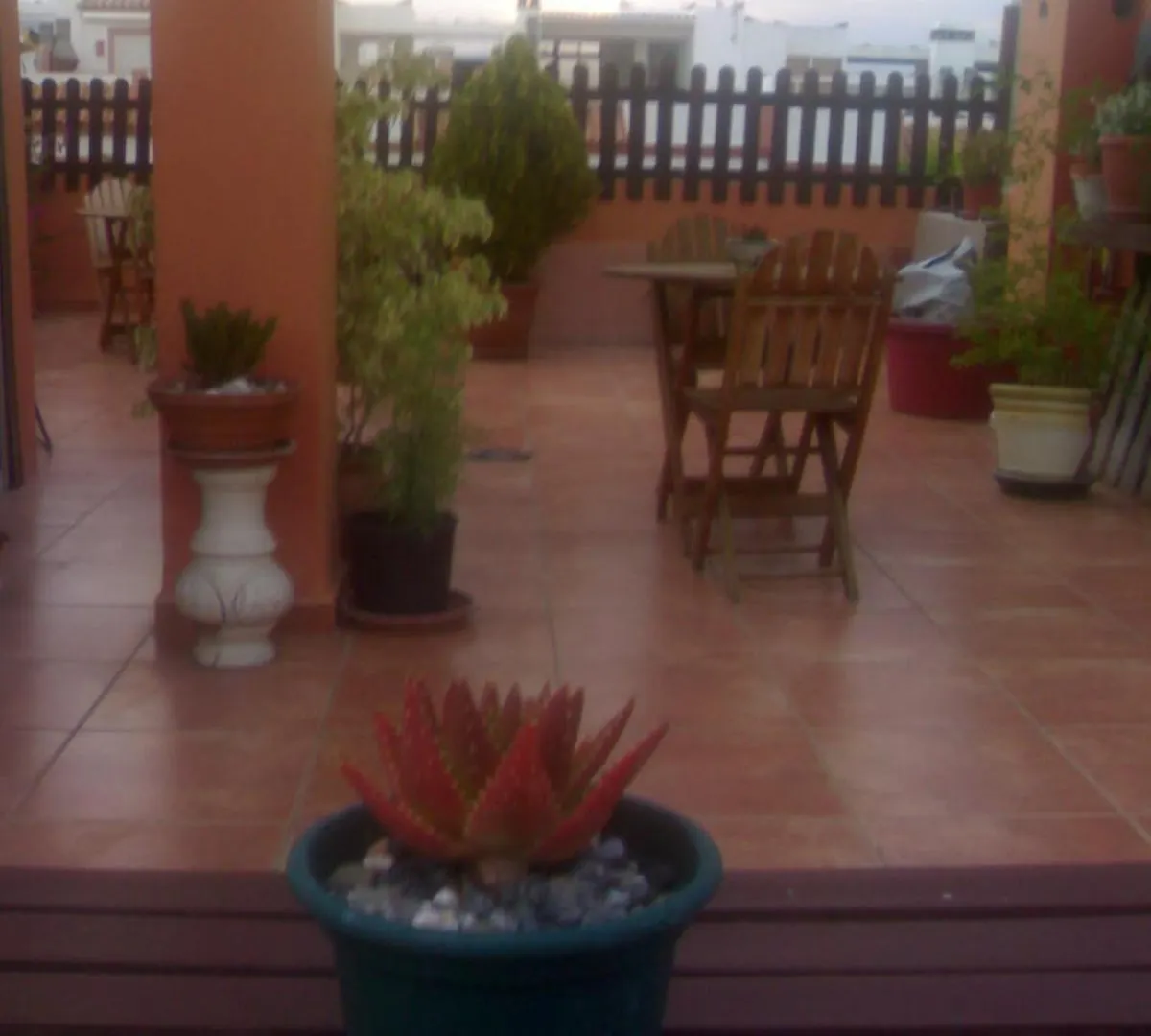 ** Guest house Hospederia V Centenario Estepona Spain